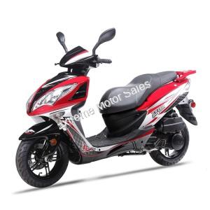 Wolf EX-150 150cc Gas Scooter Moped Street Legal 2 Year Warranty