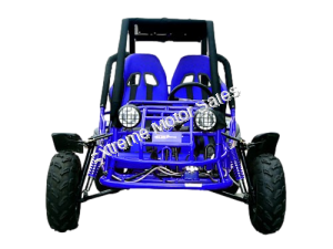 Tiking Explorer TK150-2C 150cc Go Kart Go Cart Off-Road Dune Buggy