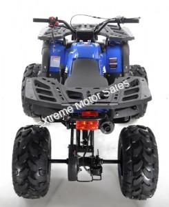 Apollo Focus 125cc Kid ATV Utility Style Kids Fully Automatic Quad