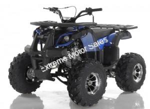 Apollo Focus 125cc Kid ATV Utility Style Kids Fully Automatic Quad