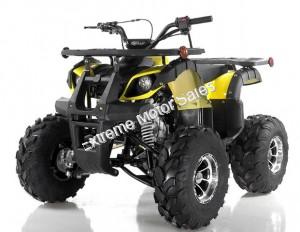 Apollo Focus 125cc Kid ATV Utility Style Kids Fully Automatic Quad