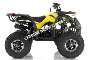 Apollo Focus 125cc Kid ATV Utility Style Kids Fully Automatic Quad