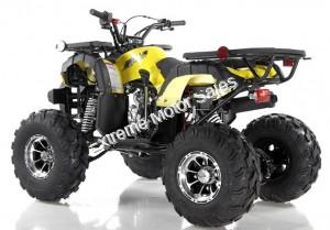 Apollo Focus 125cc Kid ATV Utility Style Kids Fully Automatic Quad