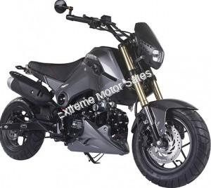 Fuerza PMZ125-1 |125cc Motorcycle | 125cc | Mini Moto | Grom Copy