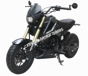 Fuerza PMZ125-1 |125cc Motorcycle | 125cc | Mini Moto | Grom Copy