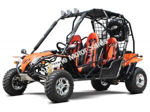 Extreme Jaguar 200cc Go Cart Go Kart Off Road Dune Buggy 4 Seater