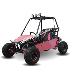 RAIDER 125cc Kids Go Cart Go Kart Dune Buggy 2 Seater