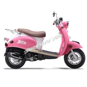 Wolf Islander 50cc Gas Scooter Moped 49cc Street Legal 2 Year Warranty