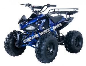 Alpine Jet 9 125cc Kids ATV Sport Fully-Auto Quad with Reverse