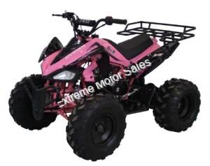 Alpine Jet 9 125cc Kids ATV Sport Fully-Auto Quad with Reverse