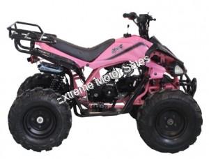 Alpine Jet 9 125cc Kids ATV Sport Fully-Auto Quad with Reverse