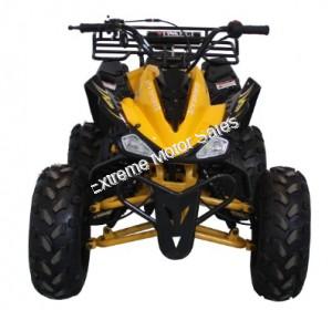 Alpine Jet 9 125cc Kids ATV Sport Fully-Auto Quad with Reverse