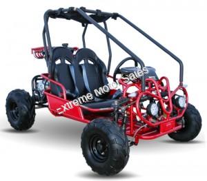 Mini Raptor 125cc Kids Go Cart Go Kart 2 Seat with Reverse