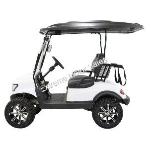 Massimo MGC2 48v Electric Vehicle Golf Cart Electric- 2 Seat