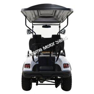 Massimo MGC2 48v Electric Vehicle Golf Cart Electric- 2 Seat