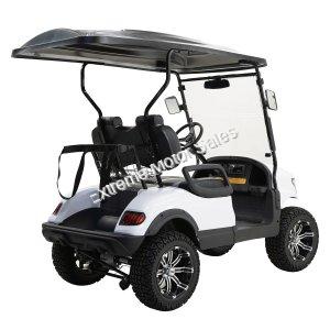 Massimo MGC2 48v Electric Vehicle Golf Cart Electric- 2 Seat