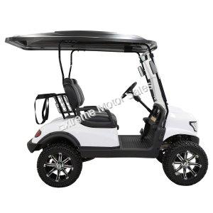 Massimo MGC2 48v Electric Vehicle Golf Cart Electric- 2 Seat