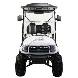 Massimo MGC2 48v Electric Vehicle Golf Cart Electric- 2 Seat