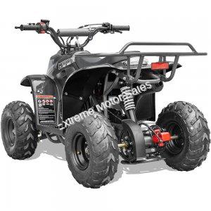 MT-ATV-Rex-110cc