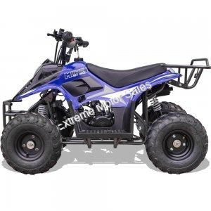 MT-ATV-Rex-110cc