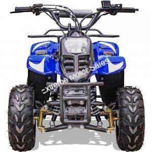 MT-ATV-Rex-110cc