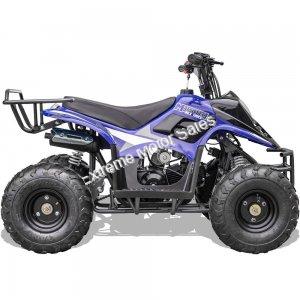 MT-ATV-Rex-110cc