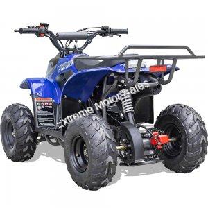 MT-ATV-Rex-110cc