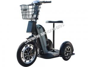 Moto Tec Electric Trike 3 Wheel 48v 800W Chariot Segway