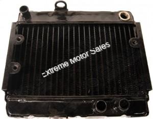 Tank Touring 250cc Scooter Radiator Water Cooled GY6