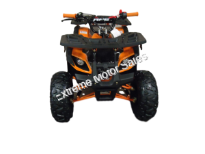 Mini Desert 125cc Utility Quad Electric Start Fully Auto w/Reverse ATV