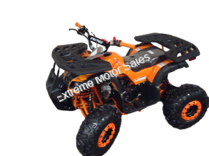 Mini Desert 125cc Utility Quad Electric Start Fully Auto w/Reverse ATV