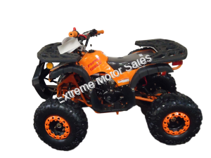 Mini Desert 125cc Utility Quad Electric Start Fully Auto w/Reverse ATV