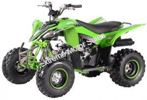 Pentora 125cc EFI ATV Kids Quad Automatic with Reverse 4 Stroke Gas