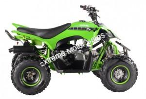 Pentora 125cc EFI ATV Kids Quad Automatic with Reverse 4 Stroke Gas