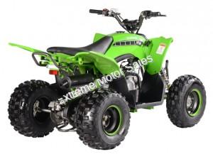 Pentora 125cc EFI ATV Kids Quad Automatic with Reverse 4 Stroke Gas