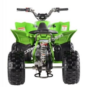 Pentora 125cc EFI ATV Kids Quad Automatic with Reverse 4 Stroke Gas