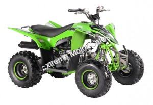 Pentora 125cc EFI ATV Kids Quad Automatic with Reverse 4 Stroke Gas