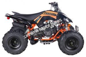 Pentora 150cc ATV Sport Quad 4 Wheeler Automatic Transmission