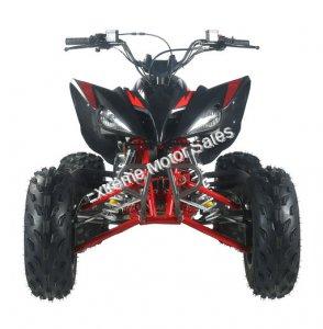 Pentora 200cc ATV EFI Fuel Injected Quad 4 Wheeler Automatic Transmission