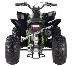 Pentora 200cc ATV EFI Fuel Injected Quad 4 Wheeler Automatic Transmission