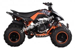 Pentora 200cc ATV EFI Fuel Injected Quad 4 Wheeler Automatic Transmission