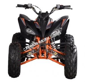 Pentora 200cc ATV EFI Fuel Injected Quad 4 Wheeler Automatic Transmission