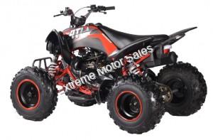 Pentora 200cc ATV EFI Fuel Injected Quad 4 Wheeler Automatic Transmission