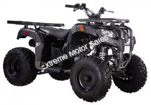 Pentora 250cc ATV Manual Transmission Off Road Quad 4 Wheeler Utility