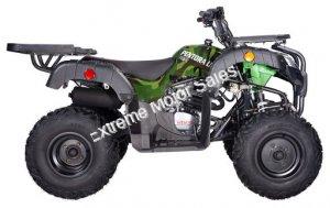 Pentora 250cc ATV Manual Transmission Off Road Quad 4 Wheeler Utility