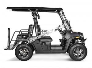 Vitacci Rover 200 EFI 200cc Utility Vehicle SXS UTV Golf Cart