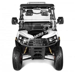 Rover 200 EFI DUMP 200cc SXS UTV Golf Cart Neighborhood Vehicle