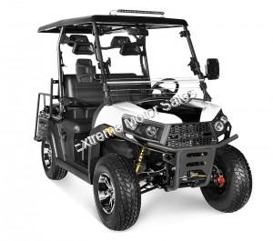 Vitacci Rover 200 EFI 200cc Utility Vehicle SXS UTV Golf Cart