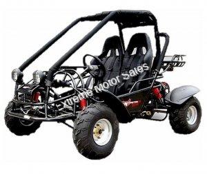 Tiking Explorer TK150-2C 150cc Go Kart Go Cart Off-Road Dune Buggy