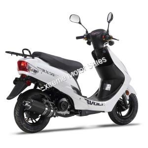 Wolf RX-50 50cc Gas Scooter Moped 49cc Street Legal 2 Year Warranty